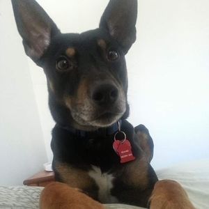 Meet your Posher, Cindy